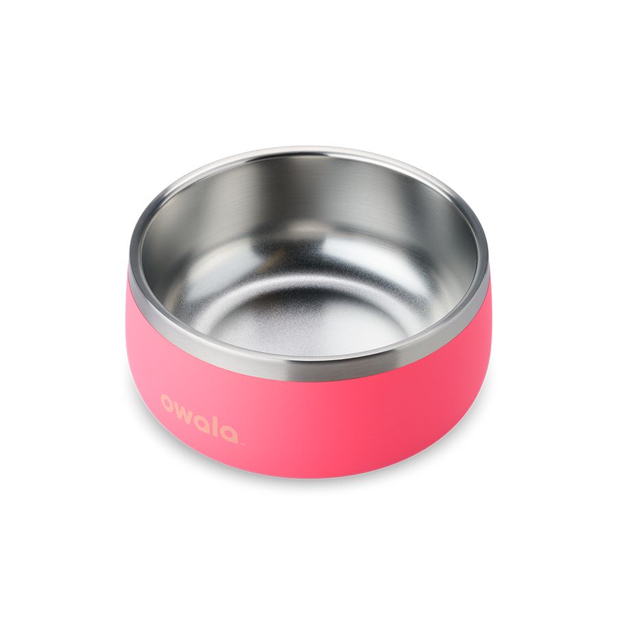 Pet Bowl Owala 2 Hyper Flamingo | MX T6392C